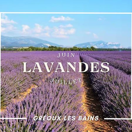 Oasis Tranquille - L'Evasion Au Verdon Gréoux-les-Bains Kültér fotó