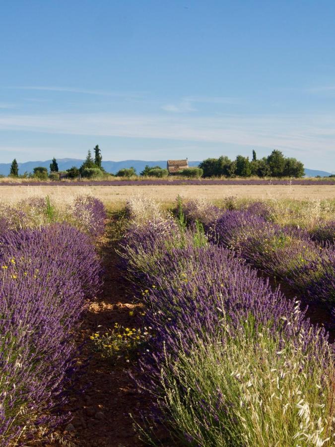 Oasis Tranquille - L'Evasion Au Verdon Gréoux-les-Bains Kültér fotó