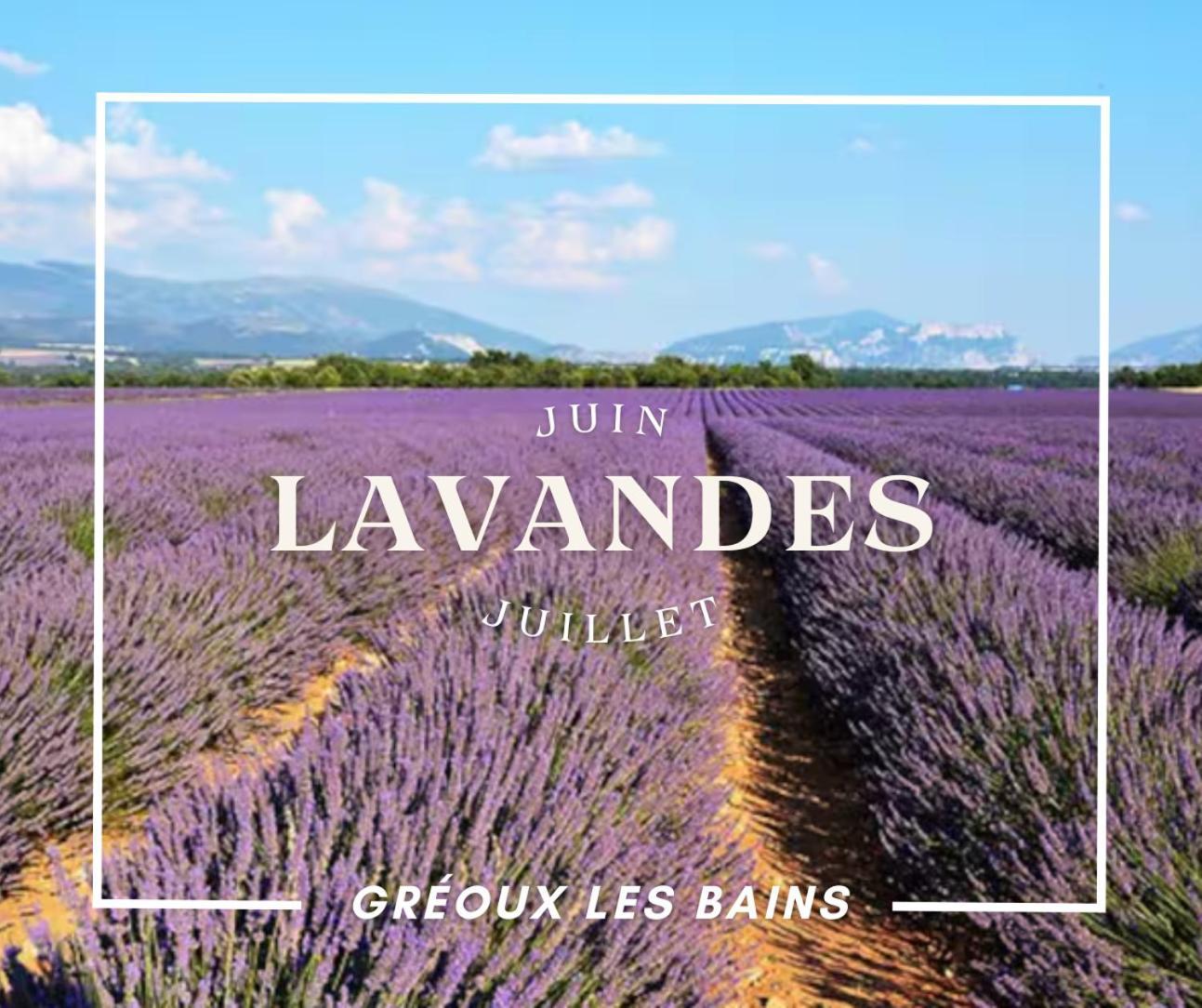 Oasis Tranquille - L'Evasion Au Verdon Gréoux-les-Bains Kültér fotó